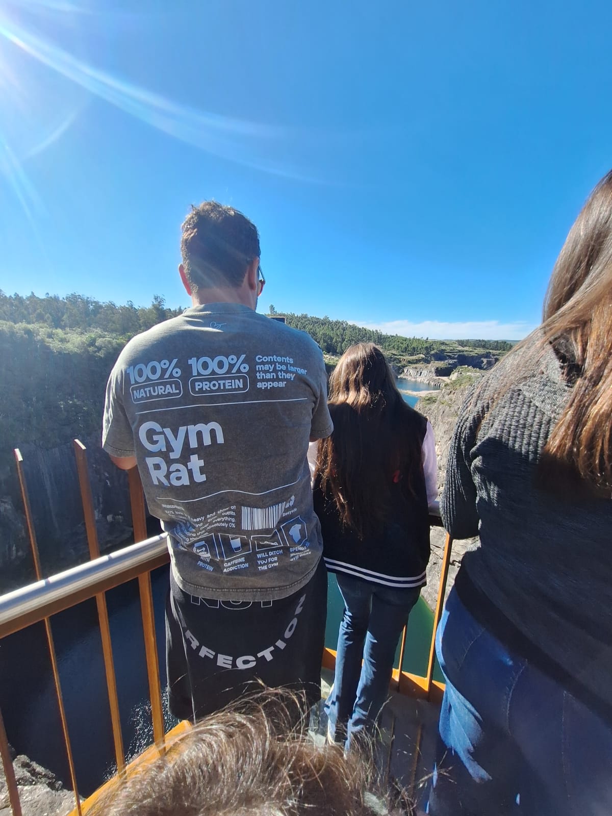 Remera Gym Rat